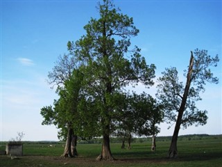 குரோசியா