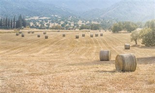 Cypern