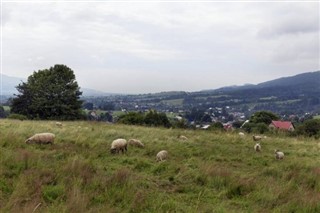Tsjekkisk