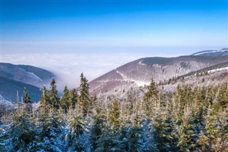Tsjekkisk