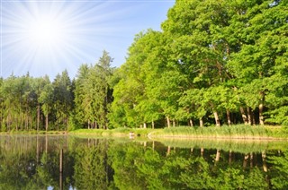 Tsjechische