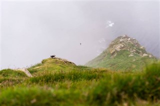 Danemarca Prognoza meteo Danemarca