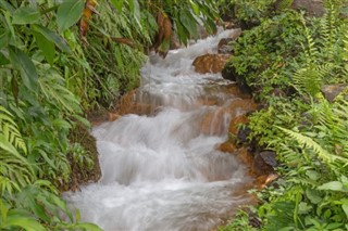 ডোমিনিকা