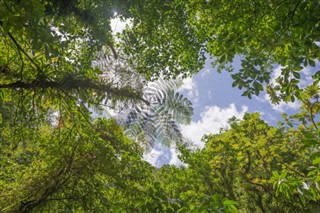 Dominica