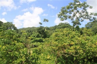 Den