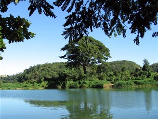 ডোমিনিকান