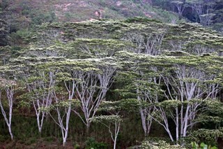 Østtimor