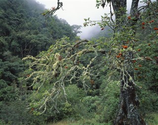 Ecuador