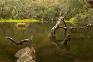 Ecuador