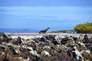 Ecuador