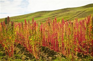 Ecuador