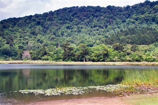 এল