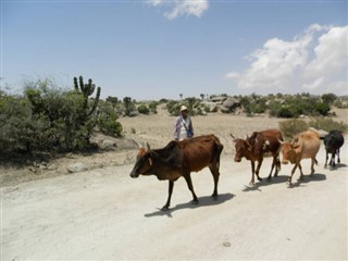 Eritreja