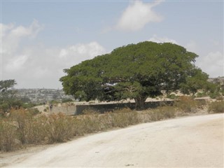 Eritrea