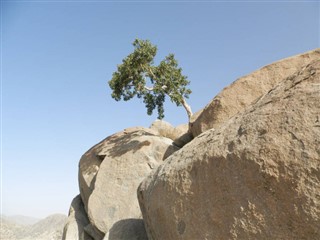 எரித்திரியா