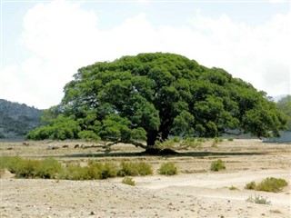 Eritrea