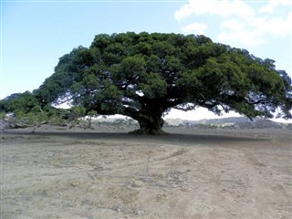 ইরিত্রিয়া