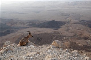 Eritrea