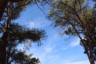 Erytrea