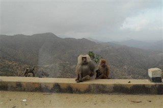 எரித்திரியா