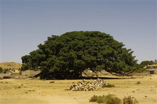 Eritrea