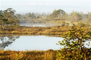 Estonia previsioni del tempo Estonia