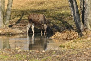 Estonia