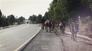 Ethiopie
