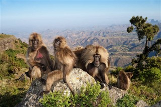 Ethiopia dự báo thời tiết Ethiopia