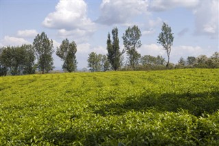 ইথিওপিয়া