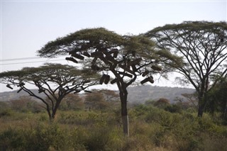 Ethiopia