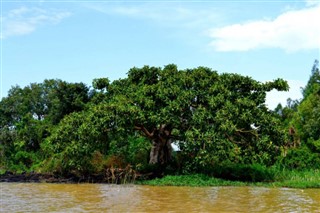 எத்தியோப்பியா