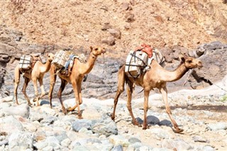 ایتھوپیا