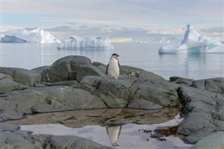 Falklandsøerne