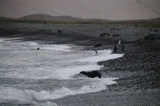 Falklandsøyene