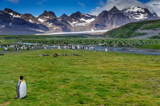 Falklandsøerne