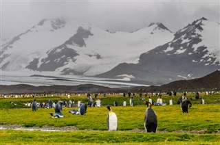 Falklando