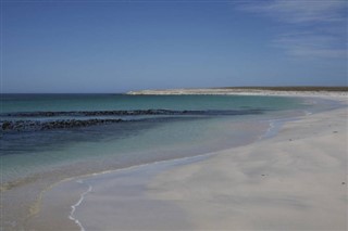 Falklandseyjar