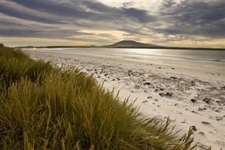 Falklandsøerne