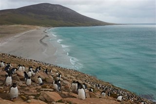 Falklandy