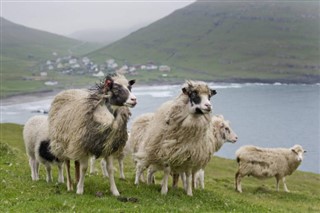 Færøerne