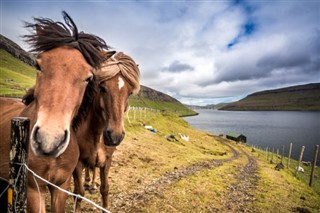 Faroe