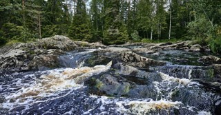 Suomija