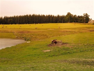 ফ্রান্স