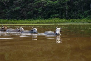 Guiana