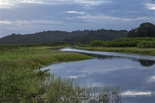 Guayana