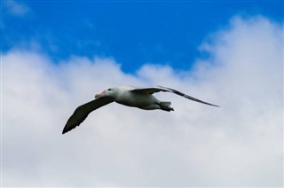 Teritoriile Franceze de Sud Prognoza meteo Teritoriile