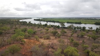 Gambía