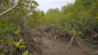 গাম্বিয়াদেশ