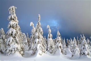 Tyskland
